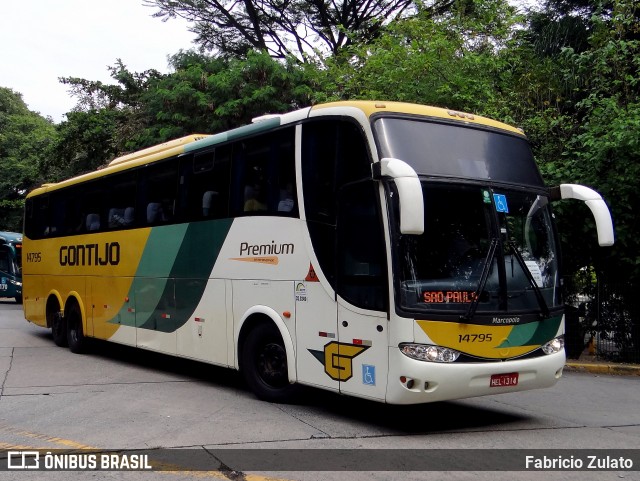 Empresa Gontijo de Transportes 14795 na cidade de São Paulo, São Paulo, Brasil, por Fabricio Zulato. ID da foto: 12083190.