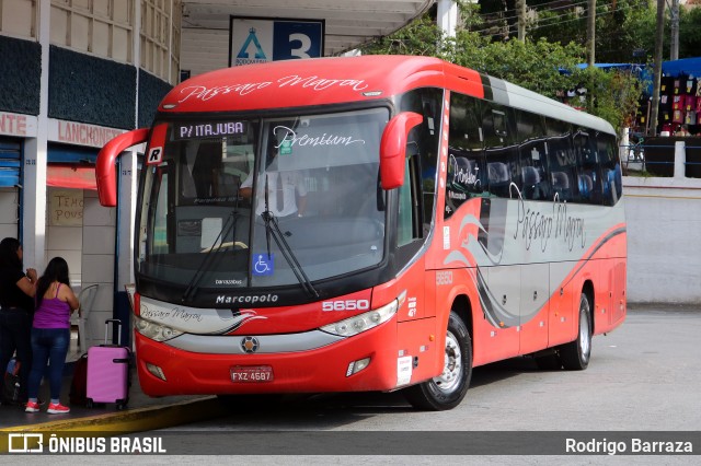 Empresa de Ônibus Pássaro Marron 5650 na cidade de Aparecida, São Paulo, Brasil, por Rodrigo Barraza. ID da foto: 12082294.