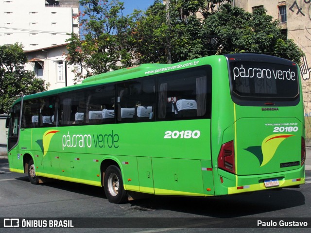 Pássaro Verde 20180 na cidade de Belo Horizonte, Minas Gerais, Brasil, por Paulo Gustavo. ID da foto: 12082175.