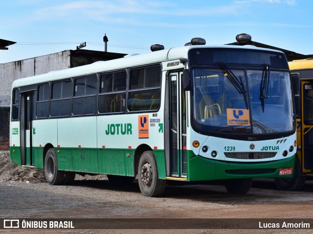 Jotur - Auto Ônibus e Turismo Josefense 1239 na cidade de Palhoça, Santa Catarina, Brasil, por Lucas Amorim. ID da foto: 12082451.