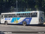 TMP Transportes 28020 na cidade de Belo Horizonte, Minas Gerais, Brasil, por Pedro Castro. ID da foto: :id.