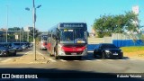 Allibus Transportes 4 5561 na cidade de São Paulo, São Paulo, Brasil, por Roberto Teixeira. Número da foto: #13306131.