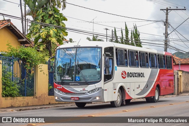 Rouxinol 405 na cidade de Sabará, Minas Gerais, Brasil, por Marcos Felipe R. Goncalves. Número da foto: #13312510.