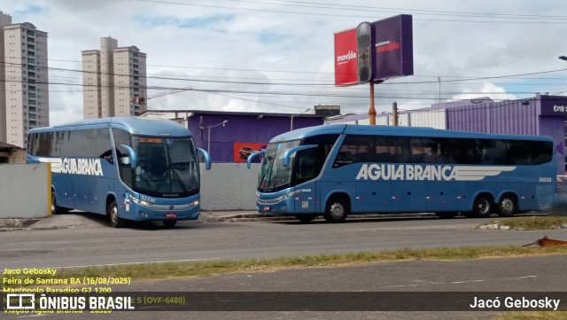 Viação Águia Branca 26520 na cidade de Feira de Santana, Bahia, Brasil, por Jacó Gebosky. Número da foto: #13310814.