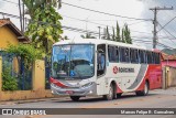 Rouxinol 405 na cidade de Sabará, Minas Gerais, Brasil, por Marcos Felipe R. Goncalves. Número da foto: #13312510.