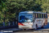 Rouxinol 585 na cidade de Sabará, Minas Gerais, Brasil, por Marcos Felipe R. Goncalves. Número da foto: #13312479.