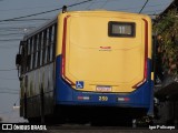 Trancid - Transporte Cidade de Divinópolis 259 na cidade de Divinópolis, Minas Gerais, Brasil, por Igor Policarpo. Número da foto: #13312566.