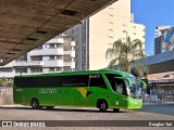 Pássaro Verde 16910 na cidade de Belo Horizonte, Minas Gerais, Brasil, por Douglas Yuri. Número da foto: #13310730.