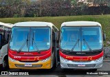 Rouxinol 2475 na cidade de Belo Horizonte, Minas Gerais, Brasil, por Welisson  Oliveira. Número da foto: #13312423.