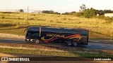 Pecotur Transporte e Turismo 45 na cidade de Limeira, São Paulo, Brasil, por André Leandro. Número da foto: #13310484.