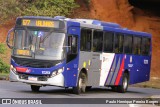 Transportes Capellini 17.213 na cidade de Campinas, São Paulo, Brasil, por Paulo Henrique Pereira Borges. Número da foto: #13315375.