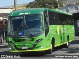 Pássaro Verde 20181 na cidade de Belo Horizonte, Minas Gerais, Brasil, por Wellington de Jesus Santos. Número da foto: #13315261.