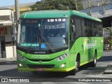 Setelagoano 19132 na cidade de Belo Horizonte, Minas Gerais, Brasil, por Wellington de Jesus Santos. Número da foto: #13315451.