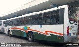 Viação Montes Brancos RJ 196.033 na cidade de Araruama, Rio de Janeiro, Brasil, por Eduardo Santos. Número da foto: #13313445.