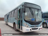 TransPessoal Transportes 564 na cidade de Pelotas, Rio Grande do Sul, Brasil, por Toni Alves Junior. Número da foto: #13315729.