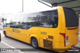 Transporte Coletivo Estrela 34501 na cidade de Florianópolis, Santa Catarina, Brasil, por Daniel Girald. Número da foto: #13317225.