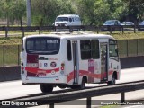 Transporte Alternativo de São Vicente 237 na cidade de São José dos Campos, São Paulo, Brasil, por Ezequiel Vicente Fernandes. Número da foto: #13317116.