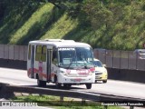 Transporte Alternativo de São Vicente 237 na cidade de São José dos Campos, São Paulo, Brasil, por Ezequiel Vicente Fernandes. Número da foto: #13317104.