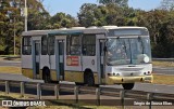 Avocado Jaguacy 05 na cidade de Bauru, São Paulo, Brasil, por Sérgio de Sousa Elias. Número da foto: #13320052.