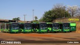 HP Transportes Coletivos 1205 na cidade de Goiânia, Goiás, Brasil, por Carlos Júnior. Número da foto: #13318946.