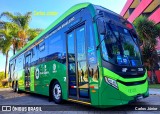 HP Transportes Coletivos 20806 na cidade de Brasília, Distrito Federal, Brasil, por Carlos Júnior. Número da foto: #13318545.