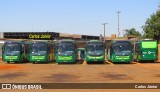 HP Transportes Coletivos 1203 na cidade de Goiânia, Goiás, Brasil, por Carlos Júnior. Número da foto: #13318943.