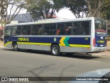 Nova Via Santa Bárbara d`Oeste - Smile Turismo 137 na cidade de Santa Bárbara d`Oeste, São Paulo, Brasil, por Fernando Félix Ferreira Lima. Número da foto: #13318714.