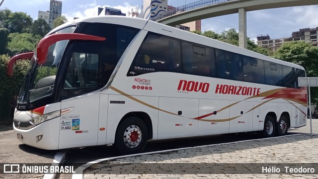 Viação Novo Horizonte 312 na cidade de Aparecida, São Paulo, Brasil, por Hélio  Teodoro. Número da foto: #13321794.