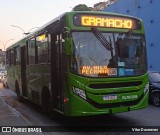 Transportes Santo Antônio RJ 161.039 na cidade de Duque de Caxias, Rio de Janeiro, Brasil, por Vitor Dasneves. Número da foto: #13322870.