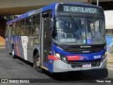 Transportes Capellini 19.013 na cidade de Campinas, São Paulo, Brasil, por Totupe Jorge. Número da foto: #:id.