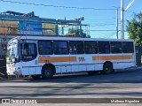 Wiltur 5812027 na cidade de Itaitinga, Ceará, Brasil, por Matheus Riquelme. Número da foto: #13321854.