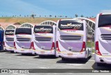 TransMargoo 1017 na cidade de Aparecida, São Paulo, Brasil, por Hélio  Teodoro. Número da foto: #13321383.