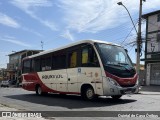 Rouxinol 2512 na cidade de Belo Horizonte, Minas Gerais, Brasil, por Quintal de Casa Ônibus. Número da foto: #13322682.