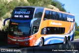 Pullman Bus 359 na cidade de Viña del Mar, Valparaíso, Valparaíso, Chile, por Paulo Henrique Pereira Borges. Número da foto: #13325328.