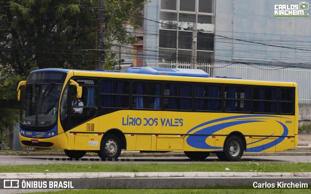 Viação Lírio dos Vales 8900 na cidade de Vitória, Espírito Santo, Brasil, por Carlos Kircheim. Número da foto: #13327138.