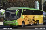 Pássaro Verde 15129 na cidade de Belo Horizonte, Minas Gerais, Brasil, por Eliziar Maciel Soares. Número da foto: #13326679.