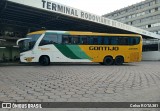 Empresa Gontijo de Transportes 21495 na cidade de Ipatinga, Minas Gerais, Brasil, por Celso ROTA381. Número da foto: #13325800.