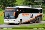 Pedrinho Transportes e Turismo 2002 na cidade de Aparecida, São Paulo, Brasil, por Ricardo  Knupp Franco. Número da foto: #13327449.