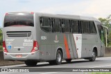 Empresa de Ônibus Pássaro Marron 90204 na cidade de Roseira, São Paulo, Brasil, por José Augusto de Souza Oliveira. Número da foto: #13326792.