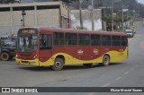 Sabor Condimentos HIF3971 na cidade de Manhuaçu, Minas Gerais, Brasil, por Eliziar Maciel Soares. Número da foto: #13326580.