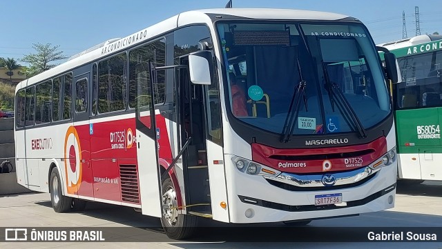 Auto Viação Palmares D17525 na cidade de Duque de Caxias, Rio de Janeiro, Brasil, por Gabriel Sousa. Número da foto: #13329748.