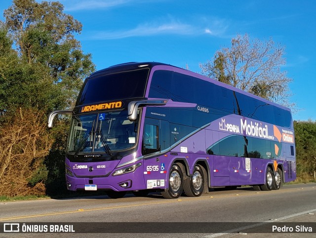 Empresa de Ônibus Nossa Senhora da Penha 65135 na cidade de Pelotas, Rio Grande do Sul, Brasil, por Pedro Silva. Número da foto: #13329638.