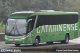 Auto Viação Catarinense 3376 na cidade de Araquari, Santa Catarina, Brasil, por Alyson Frank Ehlert Ferreira. Número da foto: #13327997.