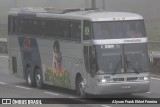 Viação DBR 10804 na cidade de Araquari, Santa Catarina, Brasil, por Alyson Frank Ehlert Ferreira. Número da foto: #13327850.