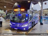 Empresa de Ônibus Nossa Senhora da Penha 65135 na cidade de Porto Alegre, Rio Grande do Sul, Brasil, por JULIO SILVA. Número da foto: #13329432.