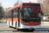 Redbus Urbano 1718 na cidade de Santiago, Santiago, Metropolitana de Santiago, Chile, por Benjamín Tomás Lazo Acuña. Número da foto: #13329577.