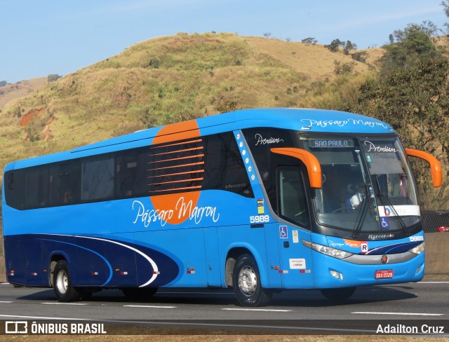 Empresa de Ônibus Pássaro Marron 5989 na cidade de Aparecida, São Paulo, Brasil, por Adailton Cruz. Número da foto: #13332812.