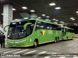 Pássaro Verde 16902 na cidade de Belo Horizonte, Minas Gerais, Brasil, por Paulo Henrique Coelho Correa. Número da foto: #13332740.