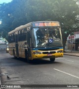 Trevo Transportes Coletivos 1005 na cidade de Porto Alegre, Rio Grande do Sul, Brasil, por Fabio Sandro. Número da foto: #13332331.