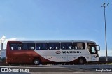 Rouxinol 335 na cidade de Contagem, Minas Gerais, Brasil, por Douglas Yuri. Número da foto: #13331693.
